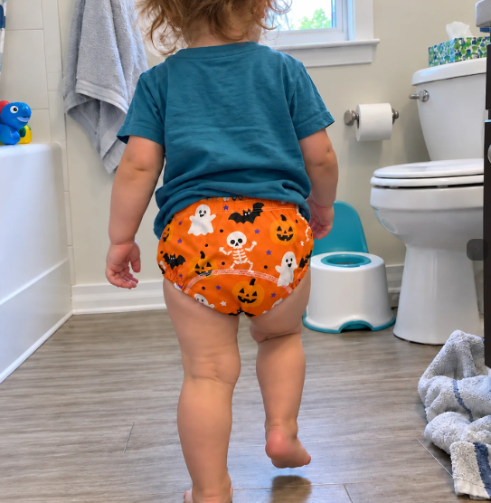 Reusable Potty Training Underwear — 1 Pair